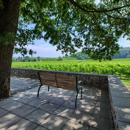 D'hotes Noailles Bed & Breakfast Puisseguin